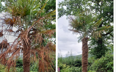 before and after